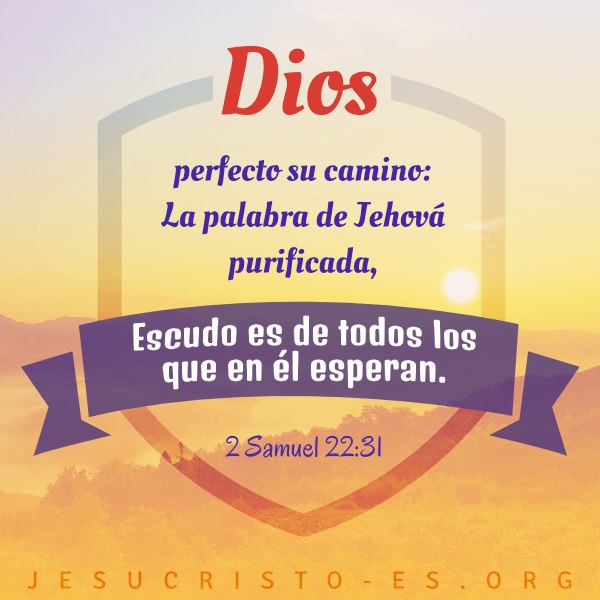 Versículos de la Biblia - 2 Samuel 22:31